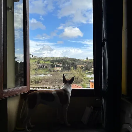 Sweet Sweet Wine Appartement